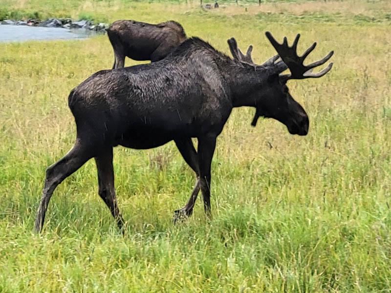 Anchorage 2022