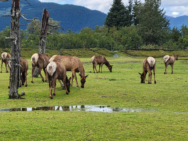 Anchorage 2022