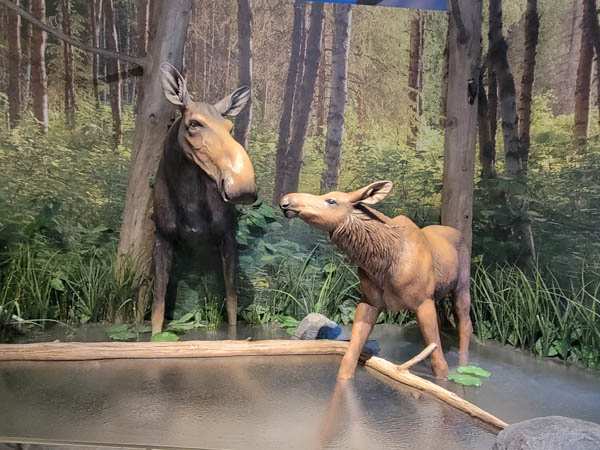 Anchorage 2022