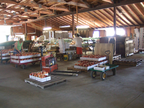 August 2009