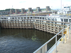 August 2009