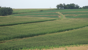 field