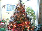 December 2009