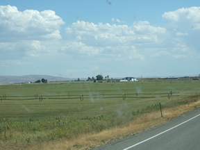 Farm Field