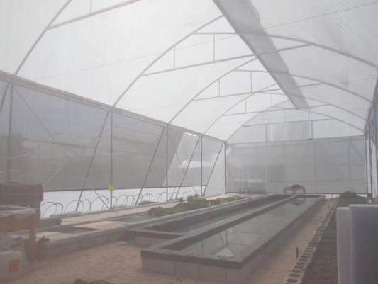 February 2013