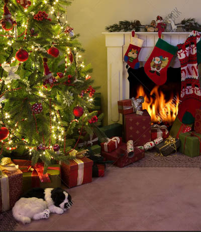 Holiday 2019