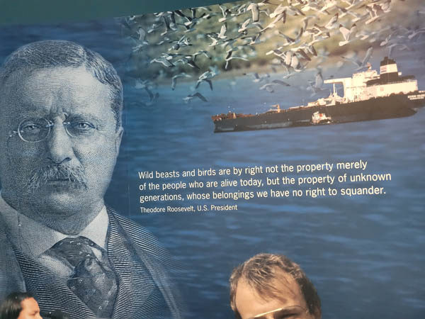 Homer 2022