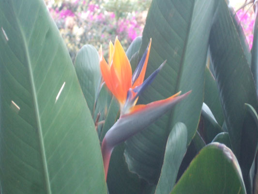 January 2011