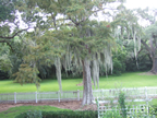 July 2009