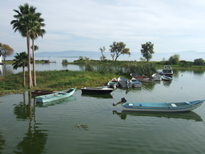 Lake Chapala