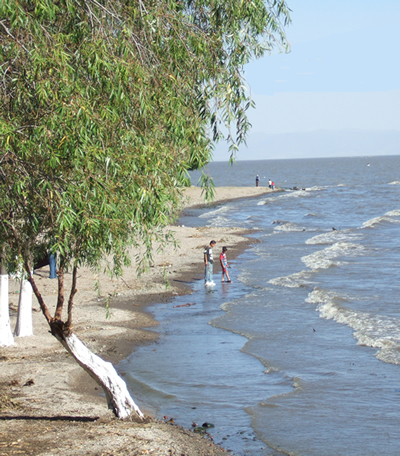March Mexico
