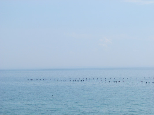 May 2013