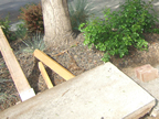 May 2009