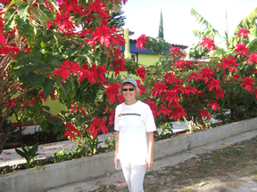 November 2009