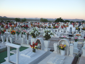 November 2009