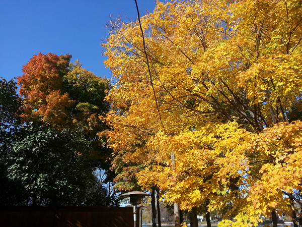 October 2015