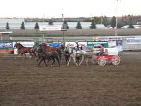 Rodeo