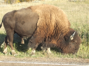 September 2010