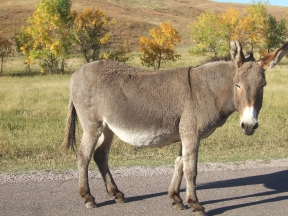September 2010