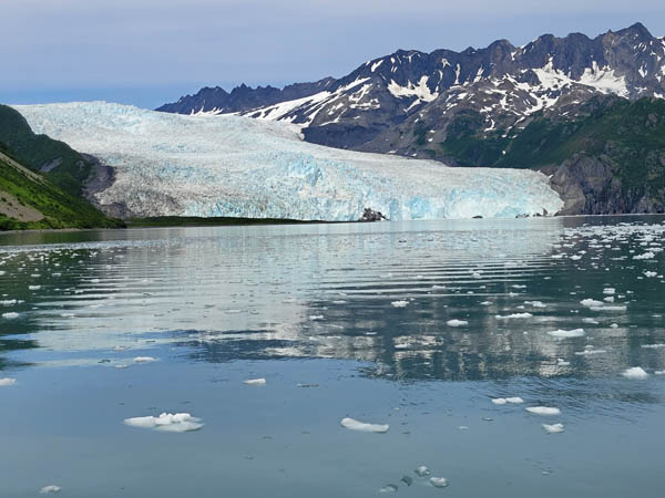 Seward 2022