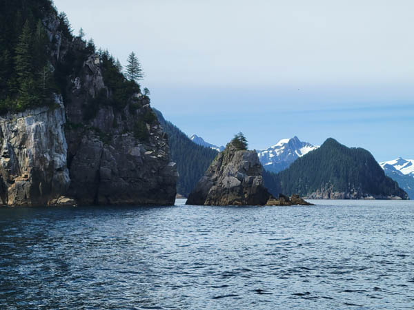 Seward 2022