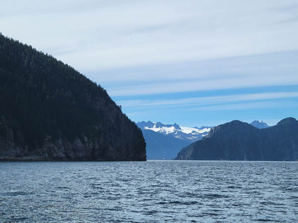 Seward 2022